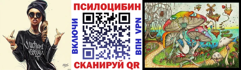 Галлюциногенные грибы Psilocybine cubensis  Купить  Суворов 