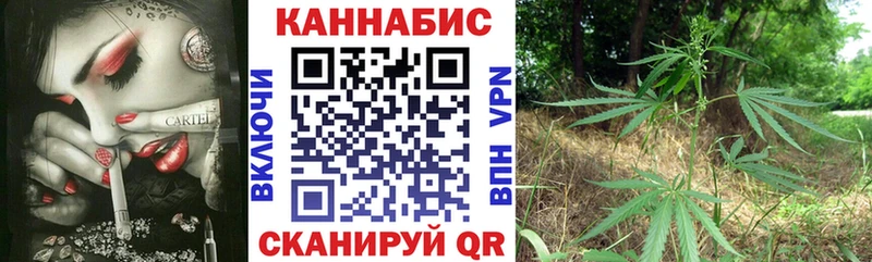 Купить закладки  Суворов  Каннабис марихуана 